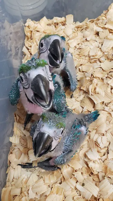 Exotic Bird Ranch 1
