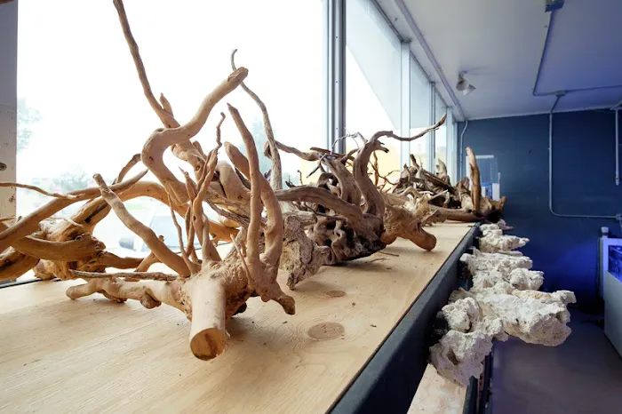 Underwater Wonders 4