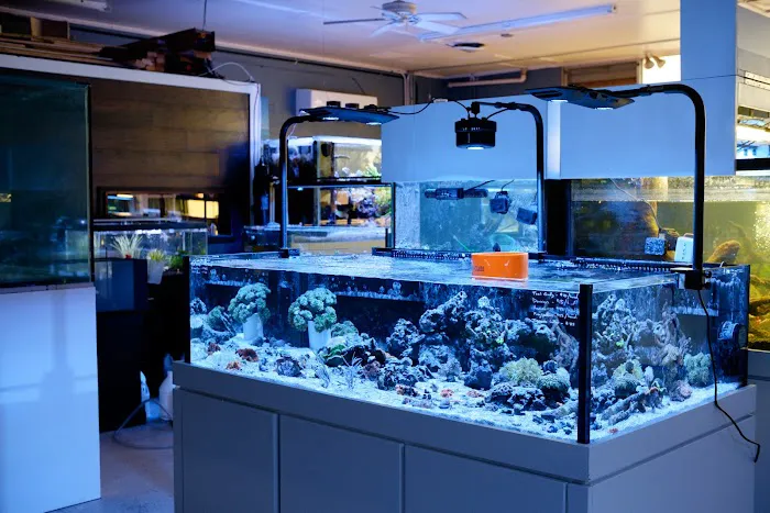 Underwater Wonders 3