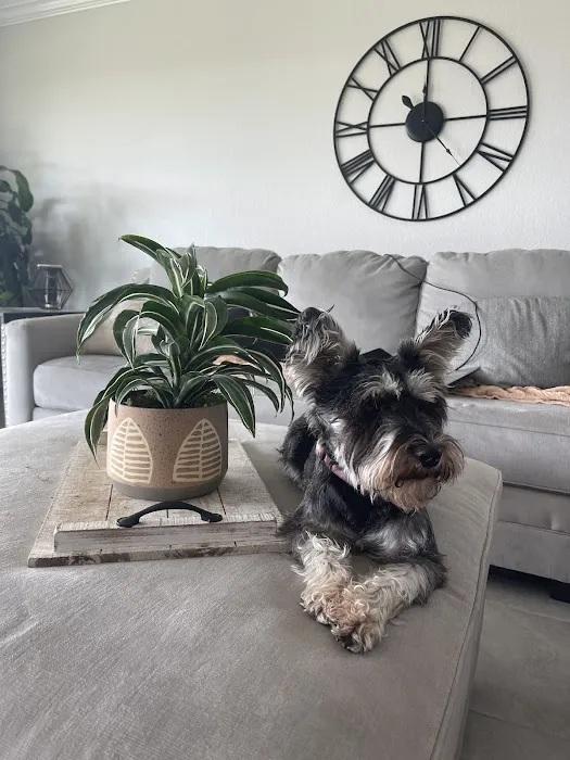 Aliana Animal Hospital 4