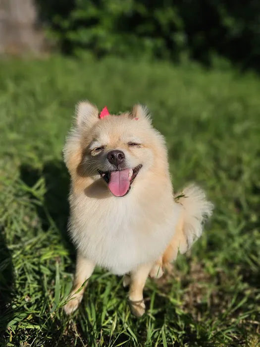Aliana Animal Hospital 6