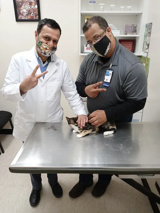 Aliana Animal Hospital 1
