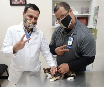 Aliana Animal Hospital