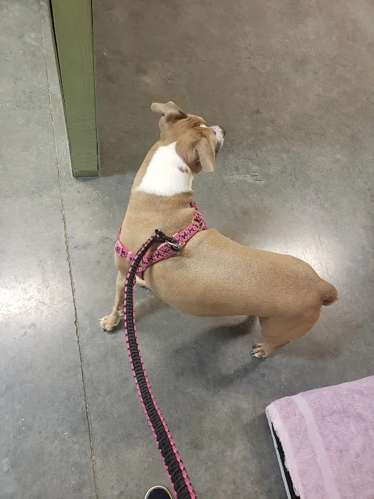 Pet Check Animal Clinic at Grand Mission 8