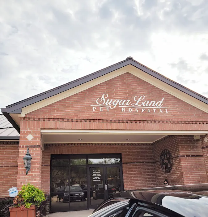 Sugar Land Pet Hospital 4