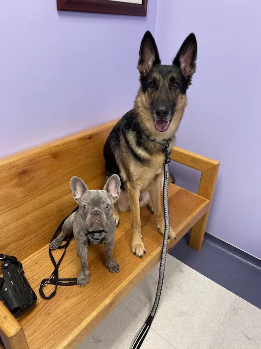 Sugar Land Pet Hospital 2