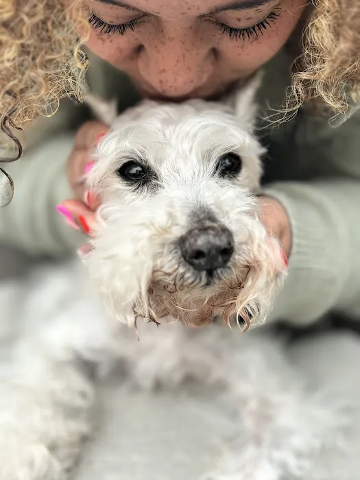 Neighborhood Pet Hospital 6