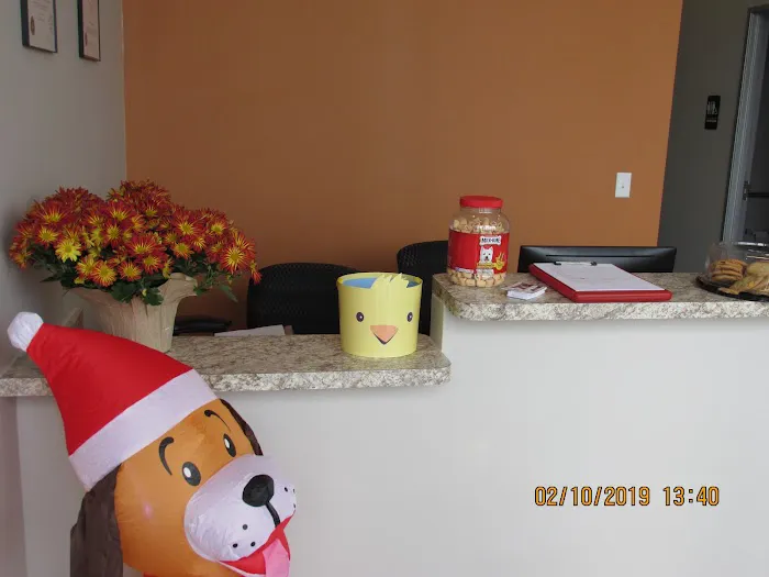 Neighborhood Pet Hospital 9