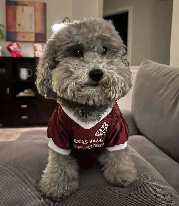 Neighborhood Pet Hospital 5