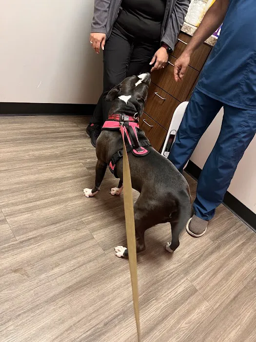 Neighborhood Pet Hospital 4