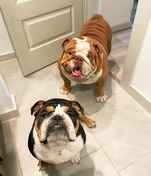 Neighborhood Veterinary Centers 7