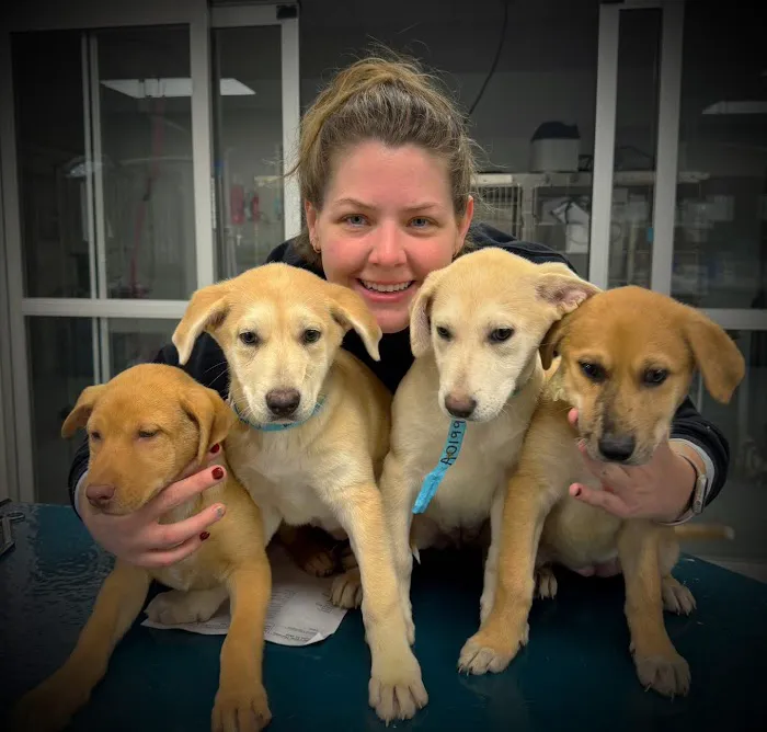 Neighborhood Veterinary Centers 8