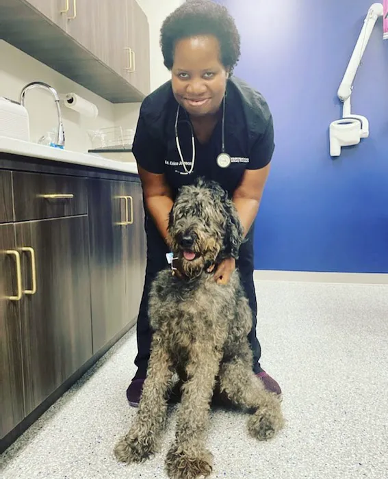 Neighborhood Veterinary Centers 1