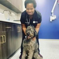 Neighborhood Veterinary Centers ico