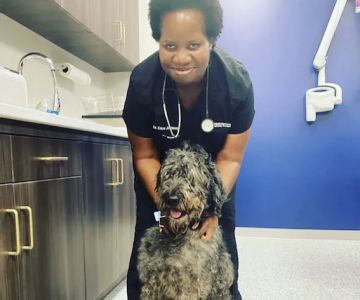 Neighborhood Veterinary Centers