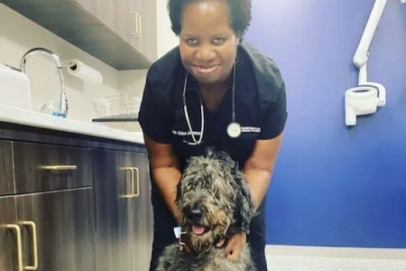 Neighborhood Veterinary Centers