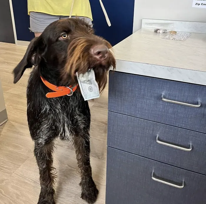 Neighborhood Veterinary Centers 10
