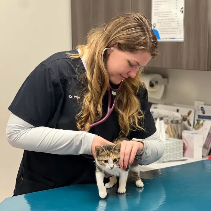 Neighborhood Veterinary Centers 5