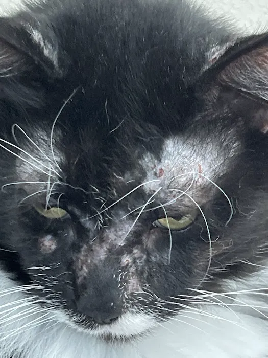 Friendship Animal Hospital 8