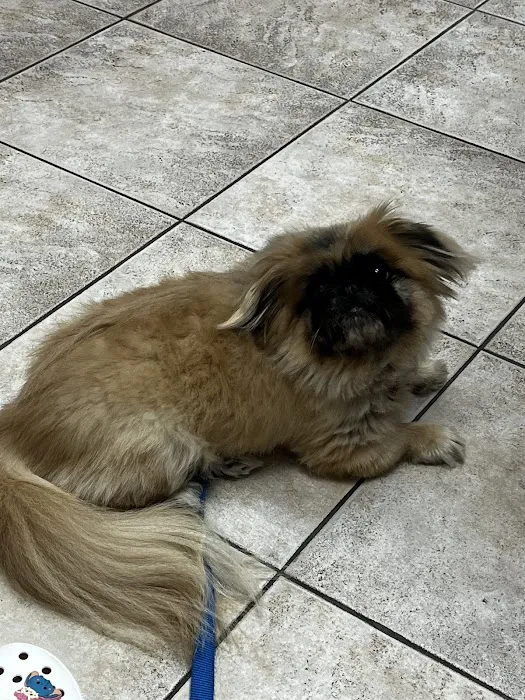 Friendship Animal Hospital 6