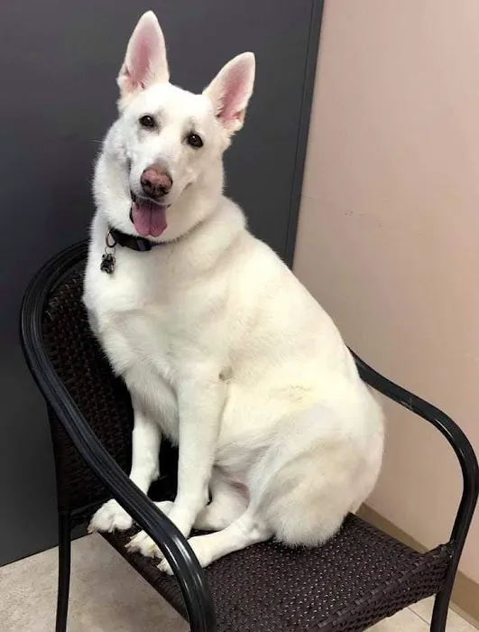 Friendship Animal Hospital 3