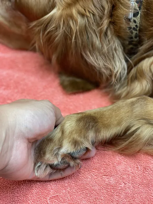 Friendship Animal Hospital 7