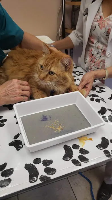 Friendship Animal Hospital 10