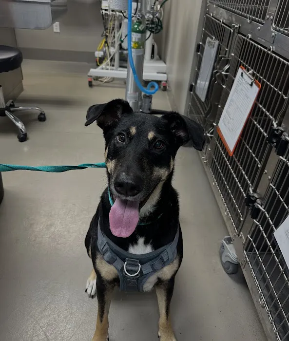 Long Meadow Veterinary Clinic 6