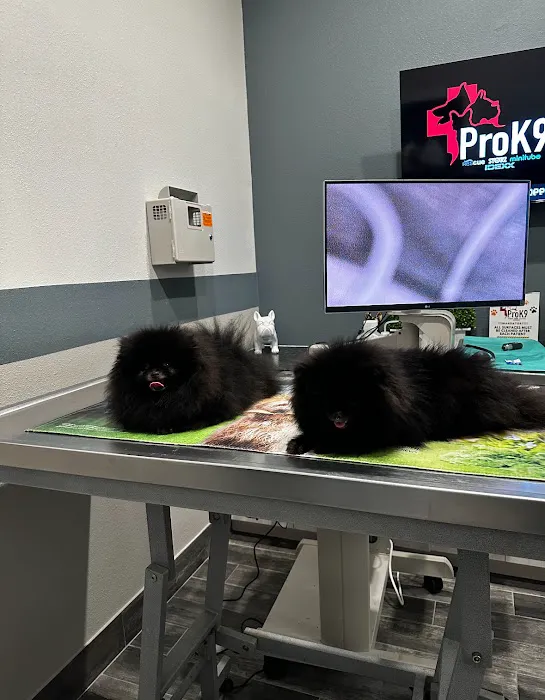Prok9 Veterinarian 6