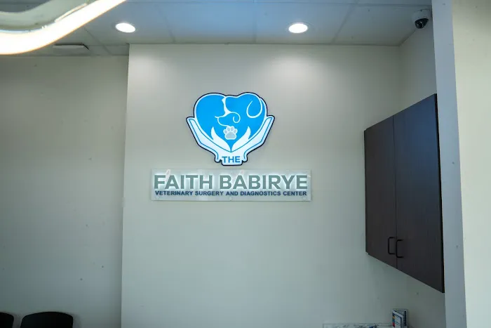 The Faith Babirye Veterinary Surgery and Diagnostics Center 12
