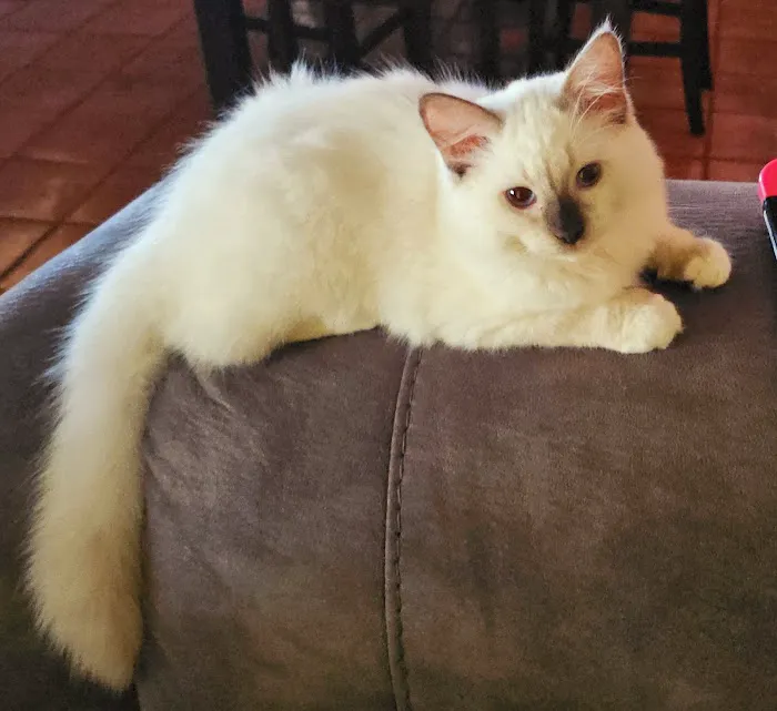 Katy Cattery 12