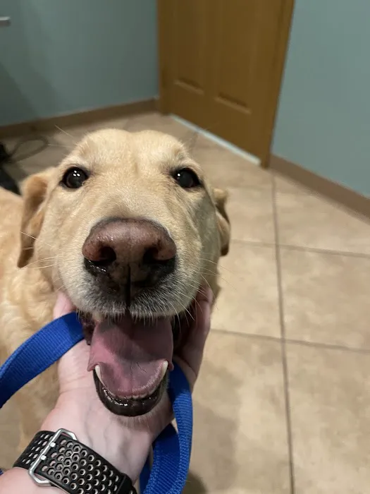 Old Town Animal Hospital 12