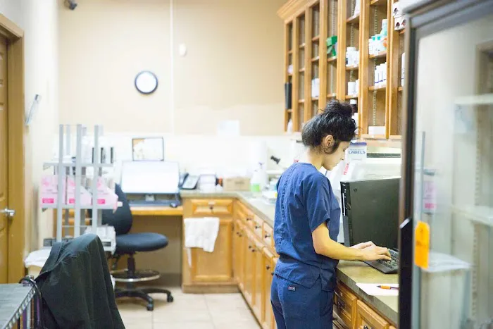 Old Town Animal Hospital 12