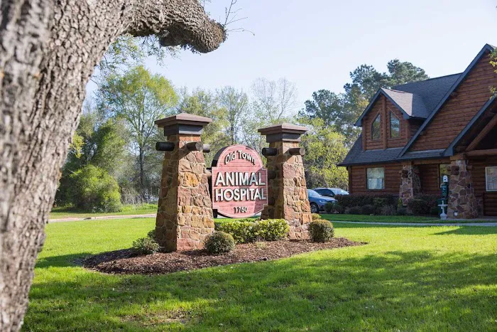 Old Town Animal Hospital 12