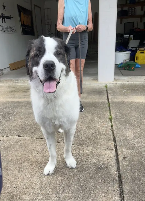 Cinco Ranch Veterinary Hospital 3