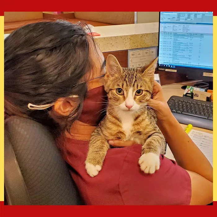 Cinco Ranch Veterinary Hospital 7
