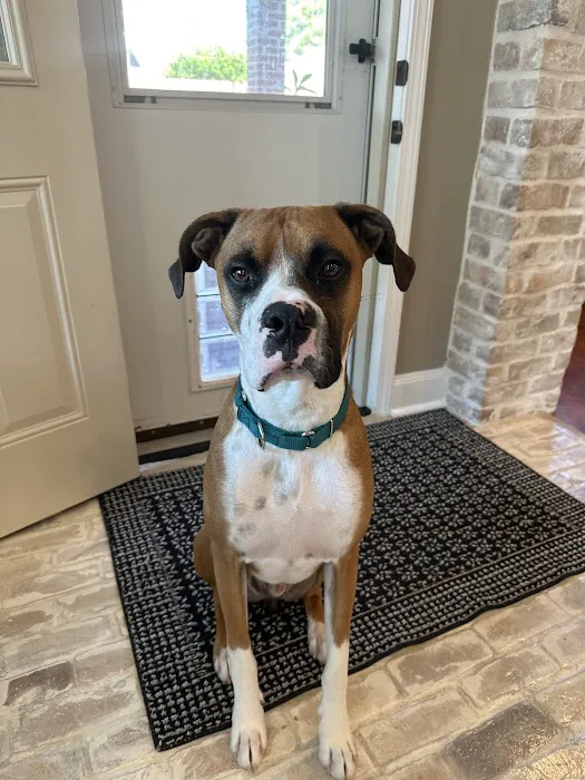 Cinco Ranch Veterinary Hospital 4