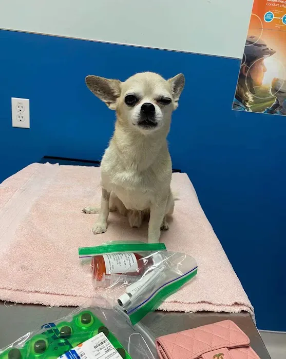 Grand Westheimer Animal Hospital 1