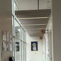 Chewy Vet Care Cinco Ranch ico