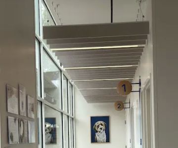 Chewy Vet Care Cinco Ranch