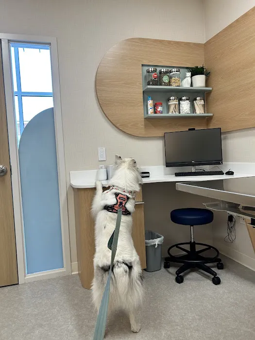 Chewy Vet Care Cinco Ranch 6