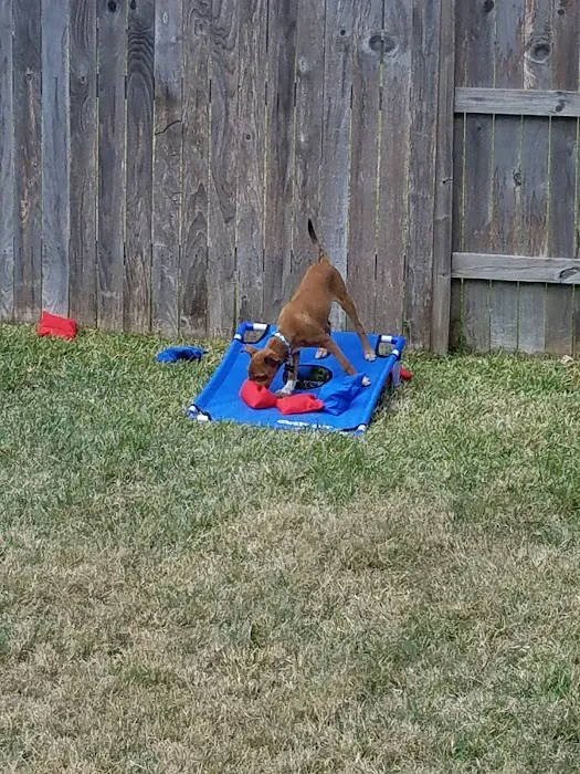 Cinco Animal Hospital 12