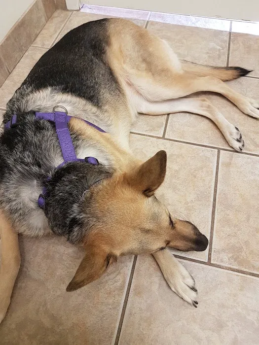 Cinco Animal Hospital 12