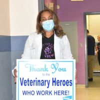 Critter Care Animal Hospital ico