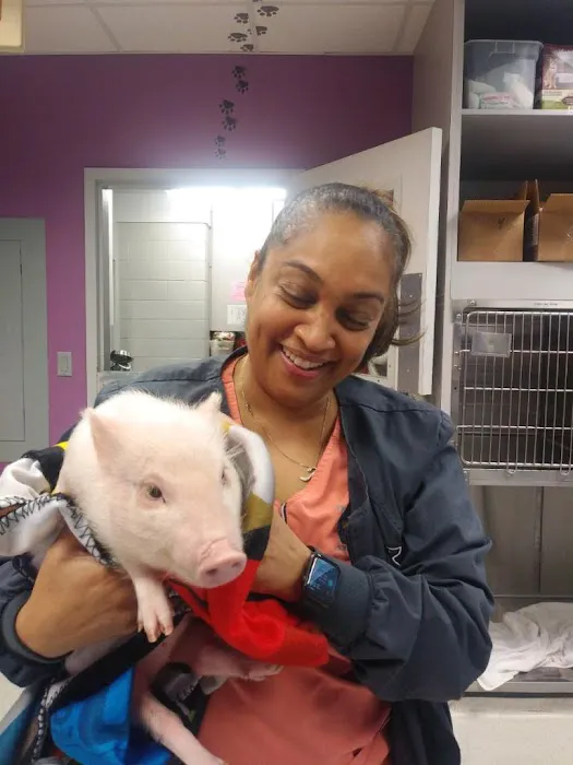 Critter Care Animal Hospital 3
