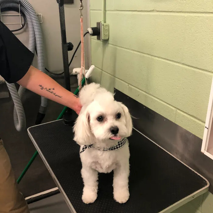 Critter Care Animal Hospital 10