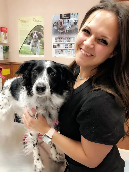Sugar Creek Animal Clinic 9