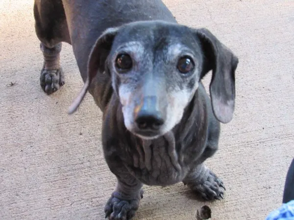 Sugar Creek Animal Clinic 5