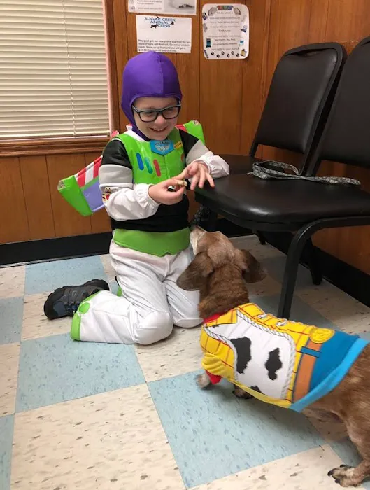 Sugar Creek Animal Clinic 3