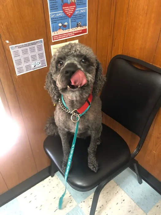 Sugar Creek Animal Clinic 6